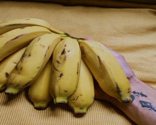 A bunch of yellow bananas and snake fruit (salak) on a textured cloth