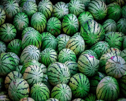 Watermelon and melon wedges arranged cleanly showing vibrant red and green colors